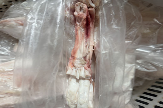 生牛筋
